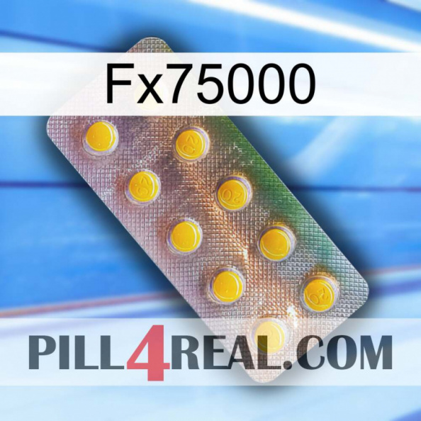 Fx75000 new11